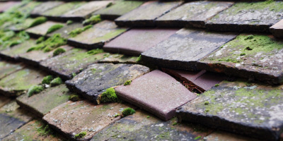 Roydon roof repair costs